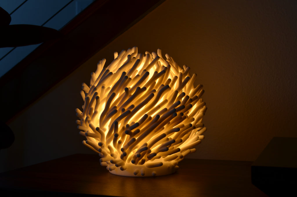 Coral Dreams Lamp