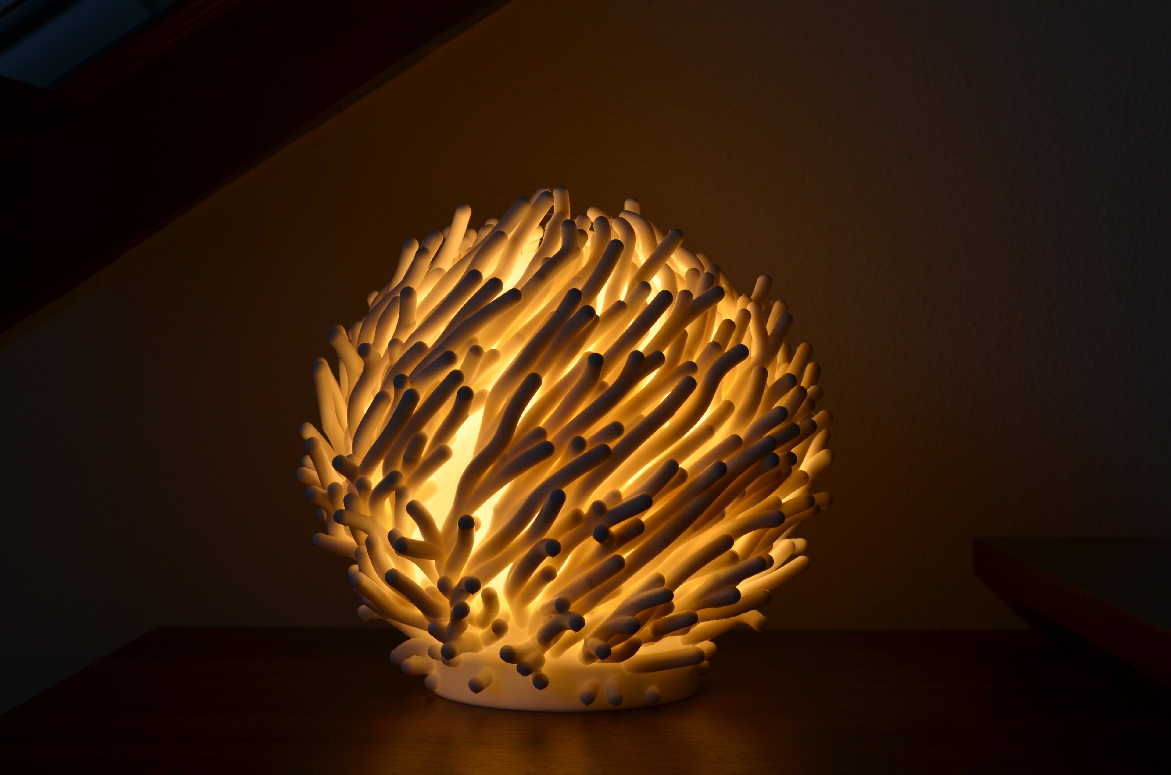 Coral Dreams Lamp
