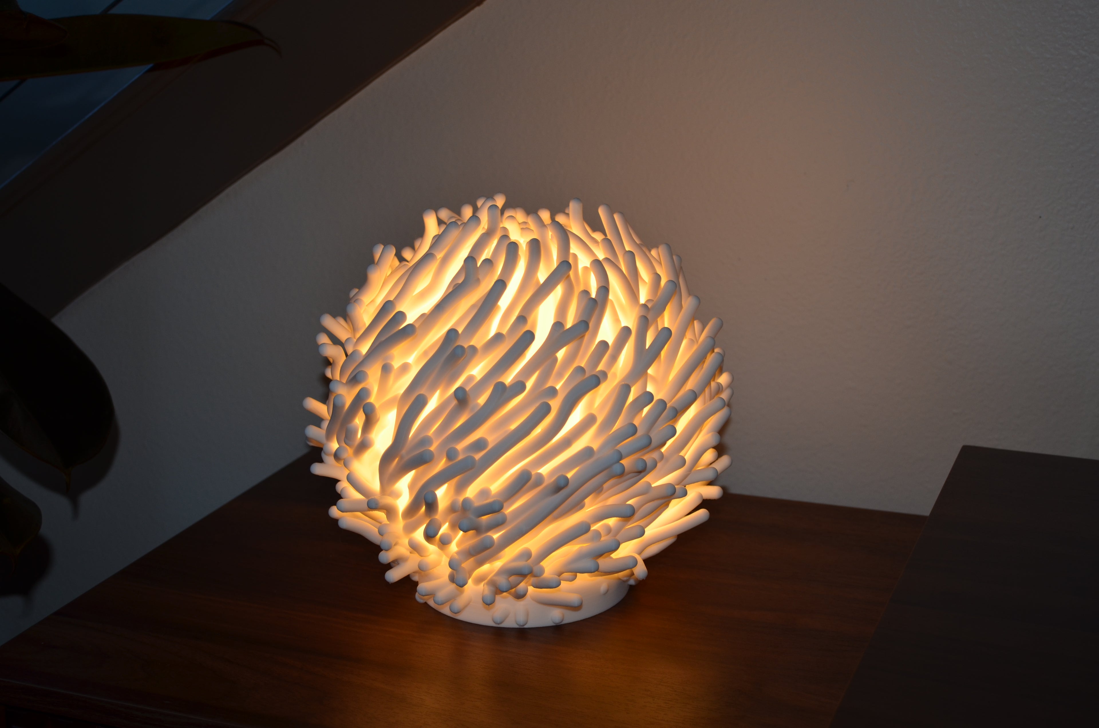 Coral Dreams Lamp