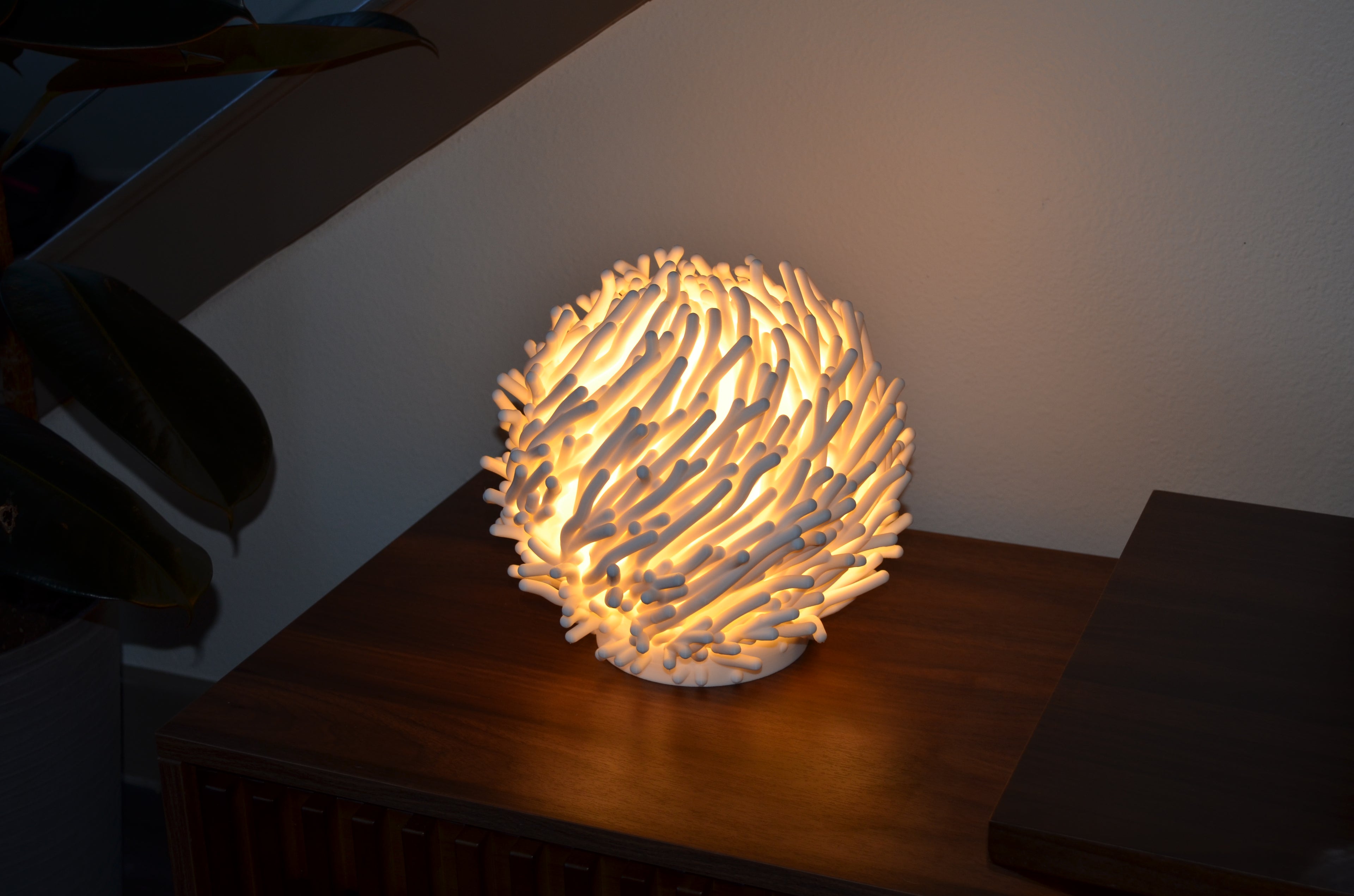 Coral Dreams Lamp