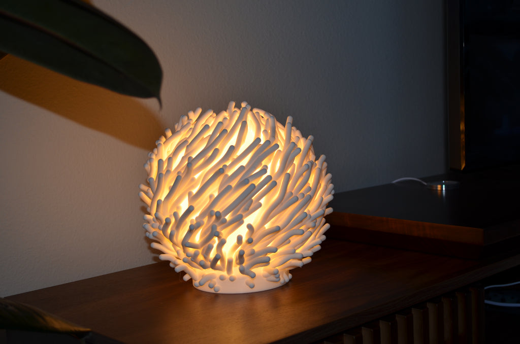 Coral Dreams Lamp