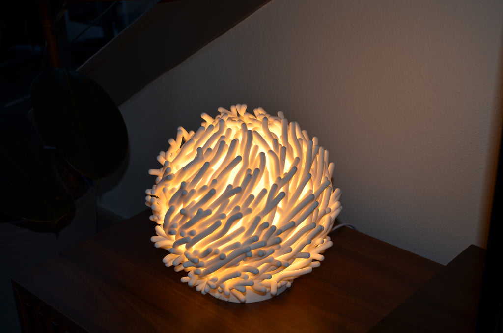 Coral Dreams Lamp